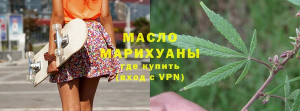 соль ск Дмитриев