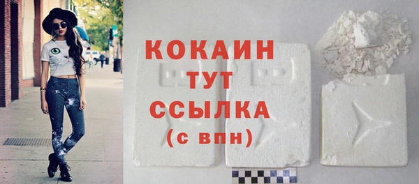 прущие грибы Дмитров