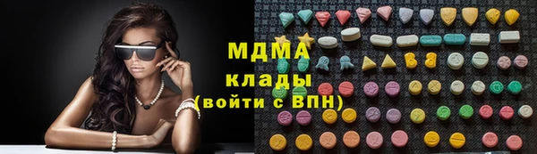 прущие грибы Дмитров