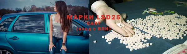прущие грибы Дмитров