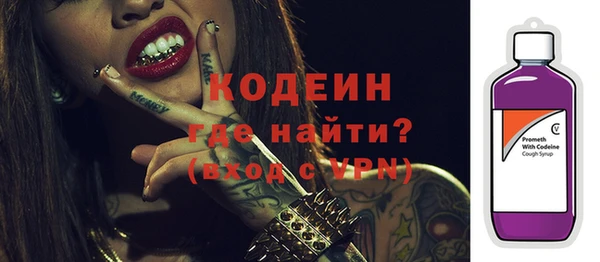 прущие грибы Дмитров
