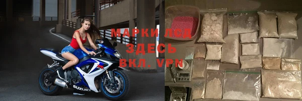 прущие грибы Дмитров