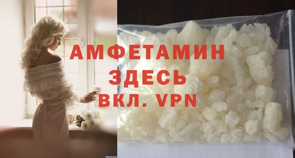 соль ск Дмитриев