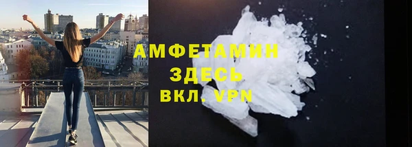 соль ск Дмитриев