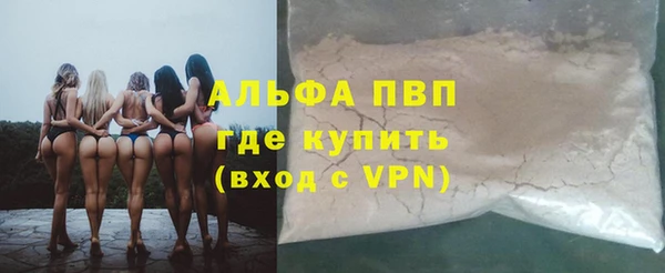 прущие грибы Дмитров
