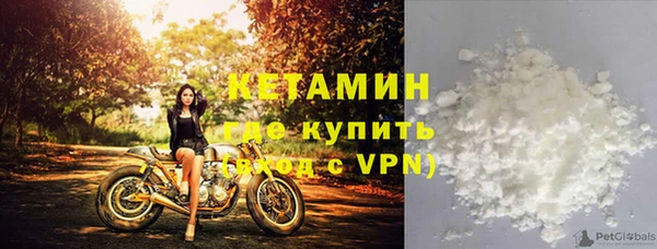 соль ск Дмитриев