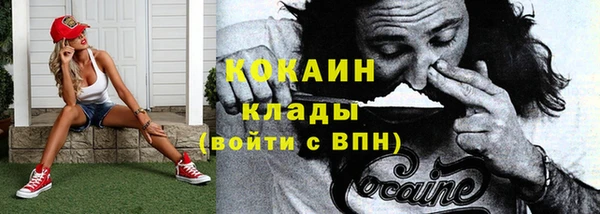 прущие грибы Дмитров
