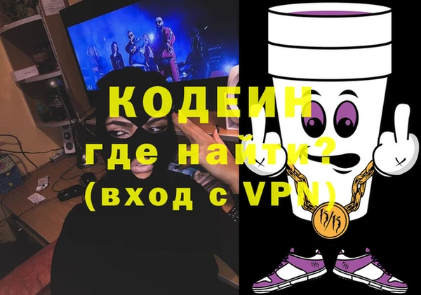 индика Кодинск