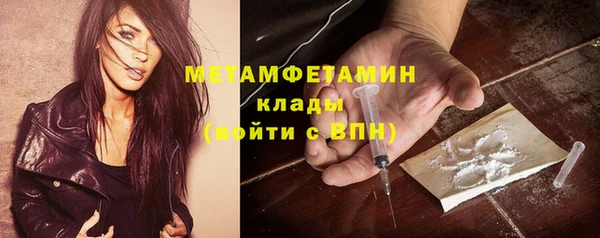 прущие грибы Дмитров