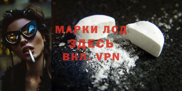 соль ск Дмитриев